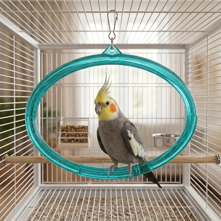 Volikart™ Bird Swing Set (2 Pieces) | Hanging Ring Perch | Cage Swing Toy for Budgies, Lovebirds, Cockatiels & Small Parrots