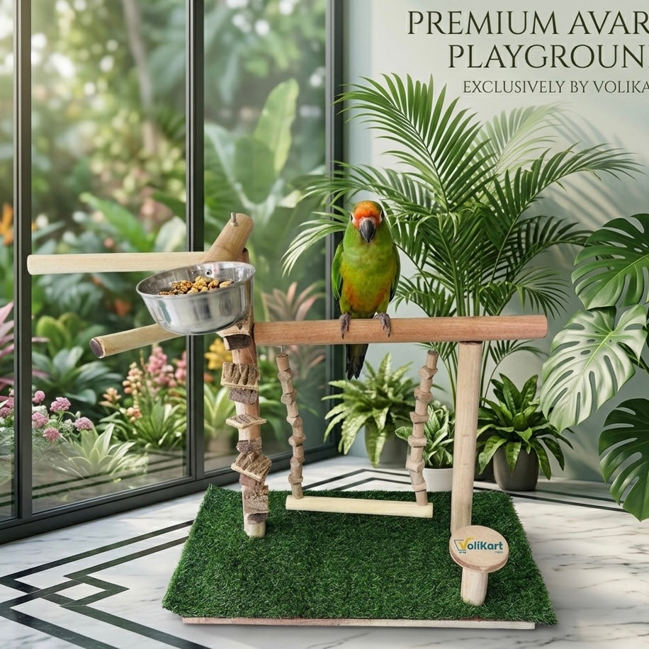 Tame Bird Stand Playing Toy - 80% Neem Wood | Wooden Toys for Conure, African Grey, Macaw, Amazon & Other Birds