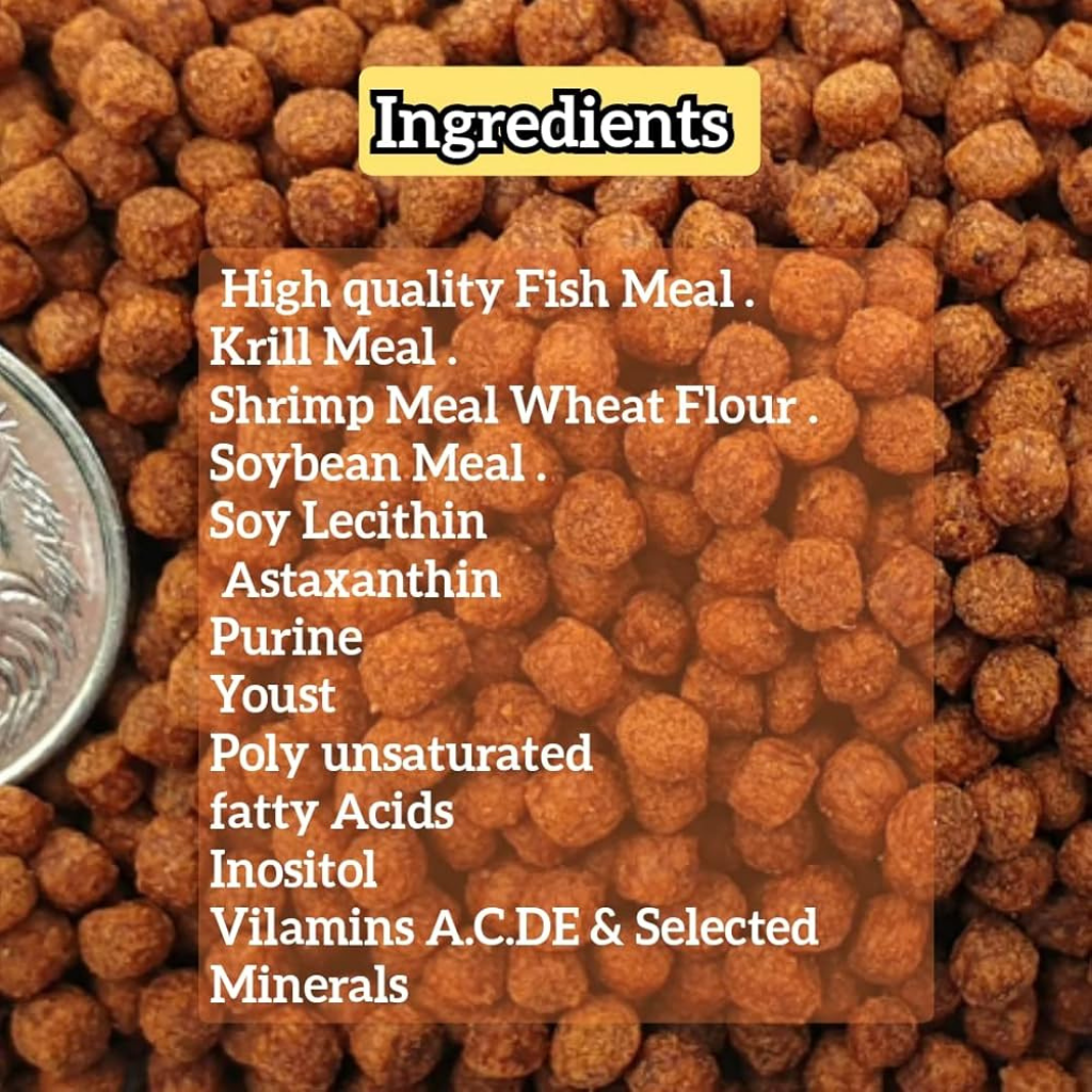 Star Farms Hi Color Fish Feed for All Tropical Fish – 100g | High Protein Formula for Bright Colors & Healthy Growth