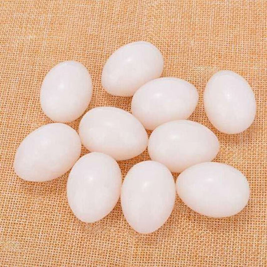 Fake Pigeon Eggs for Breeding & Incubation – Realistic Dummy Eggs (Pack of 10) | Volikart
