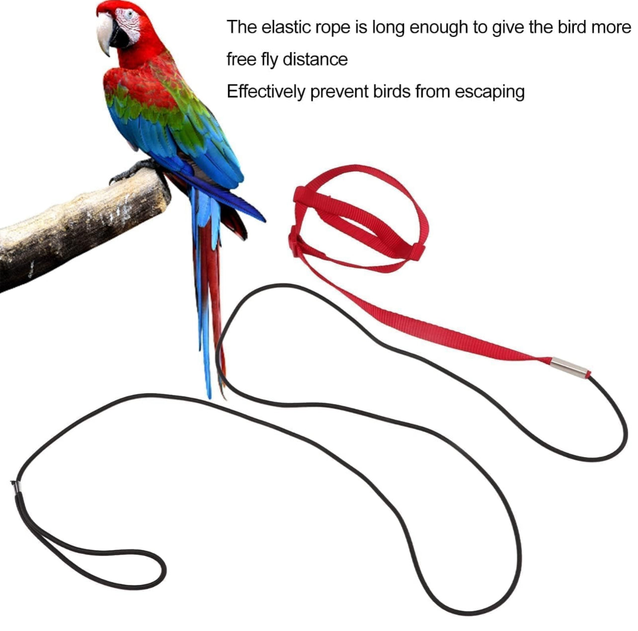 Bird Body Harness Adjustable Durable Reusable Safe Great for Training, Exercise & Playing for Large Macaw, Triton, Small Moluccan (Random) (Large)