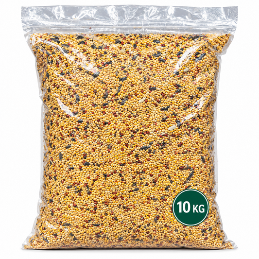 Volikart 10kg Budgie Mix Seed 10kg | Premium Mixed Bird Food with Millet, Canary Seed, Sunflower, Flax, Buckwheat & Oats
