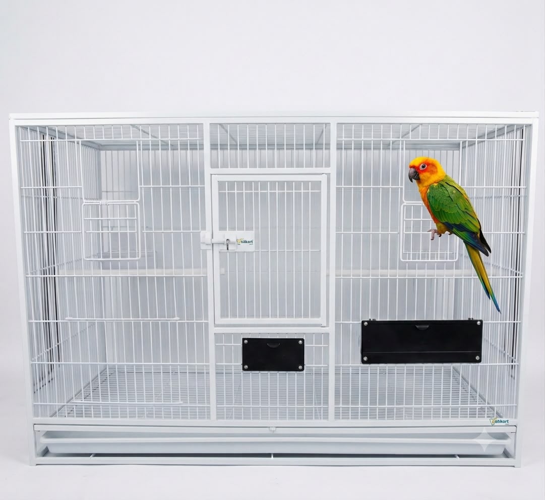 Volikart™ 3x2x2 ft Heavy Duty MS Bird Cage for Sun Conure, Cockatiel, Ringneck Parrot & Lorikeet and similar size Birds