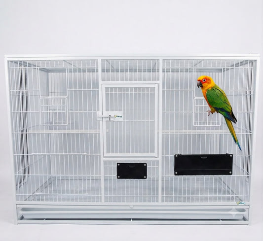 Volikart™ 3x2x2 ft Heavy Duty MS Bird Cage for Sun Conure, Cockatiel, Ringneck Parrot & Lorikeet and similar size Birds