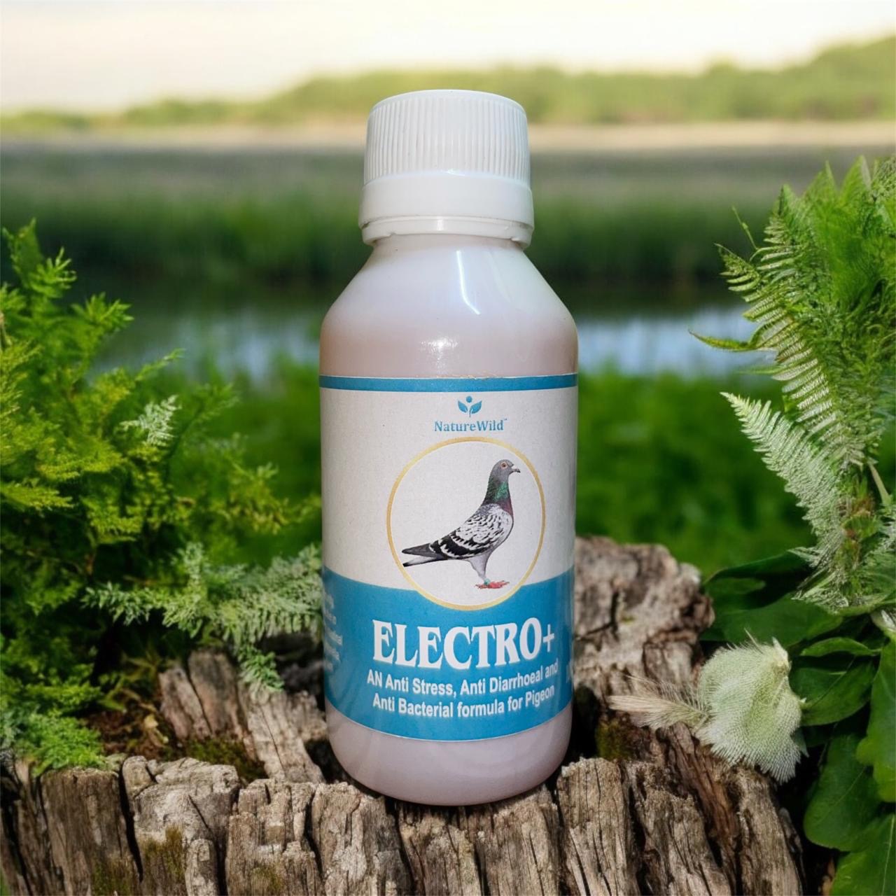 Nature Electro Plus,Anti Stress, Anti Diarrhoeal and Anti Bacterial formula for Birds & Pigeon Nature Wild