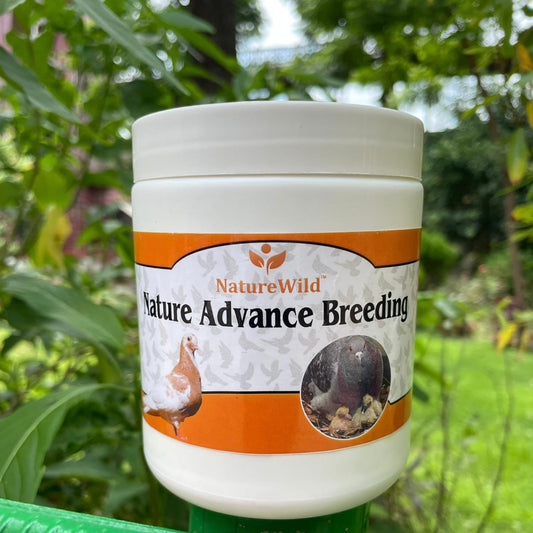 Naturewild Advance Breeding Pro 250gm – High Potency Multivitamin & Amino Acid Supplement for Birds – Boosts Immunity, Energy & Growth
