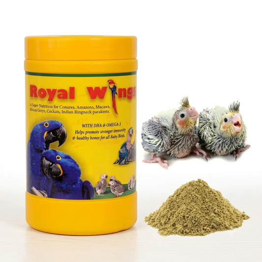 Star Farms Royal Wings Baby Bird Hand Feeding Formula with DHA Omega-3 – 700g | Complete Nutrition for Parrots, Conures & Macaws
