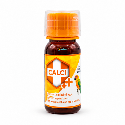 SF+ Calci Plus 30ml | Calcium Supplement for Birds | Egg Shell, Bone & Reproductive Health Support