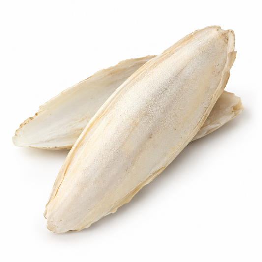 Volikart 100g Cuttlefish Bone for Birds | Natural Cuttle Bone