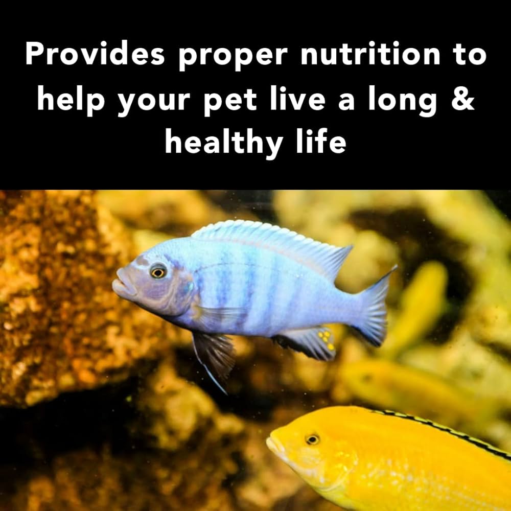 Star Farms True Color Cichlid Fish Feed - 100gm | Rapid Growth & Natural Color Enhancer | High-Quality Protein Formula