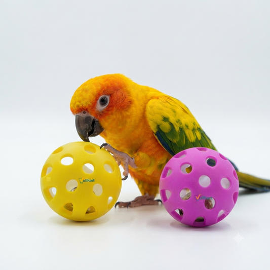 2 Pieces Bird Interactive Bell Ball, Bird Toy for Parakeet, Cockatiel, Budgerigar, Parrots, 1.5 Inches, Medium