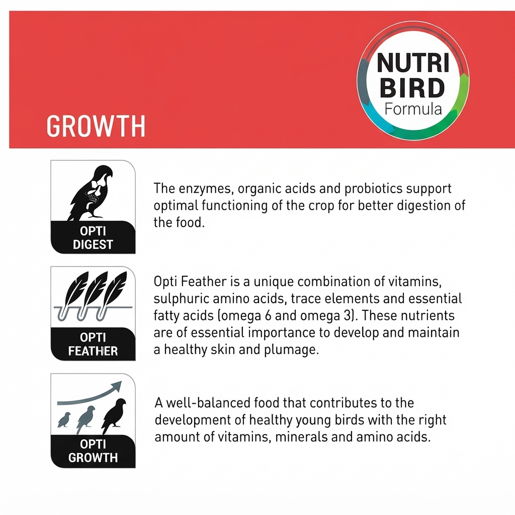 Versele-Laga NutriBird A21 Hand Feeding Formula for Baby Birds 800g | Hand Rearing Food for Amazons, Cockatoos & Large Parakeets