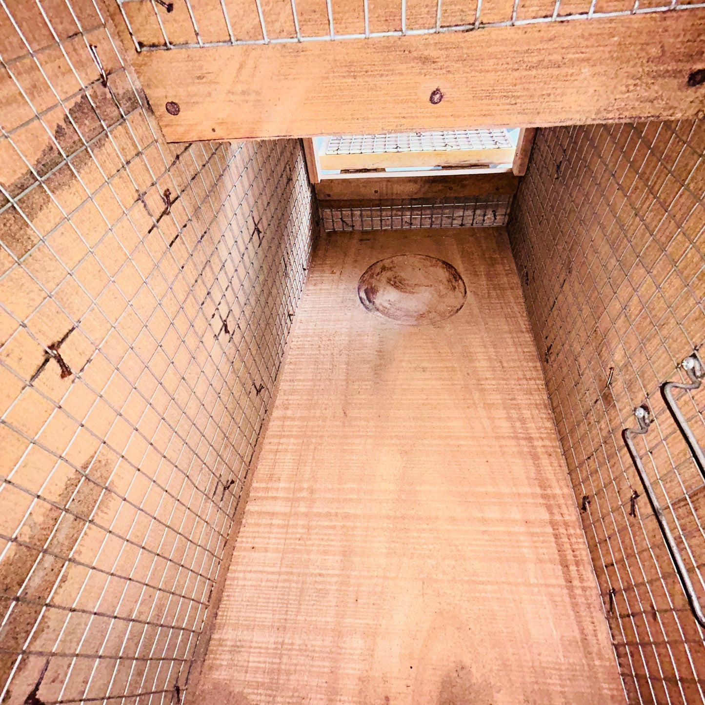 African Grey Parrot Wooden Breeding Box 24x24 Inch L Shape | 1 Inch Thick Wood Nest Box with Double Door & Full Inner Wire Net Gray Parrot Box