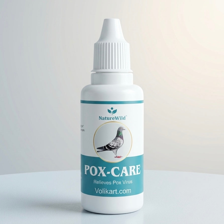Pigeon Pox Treatment Drops - NatureWild Pox-Care for Avian Health - Volikart