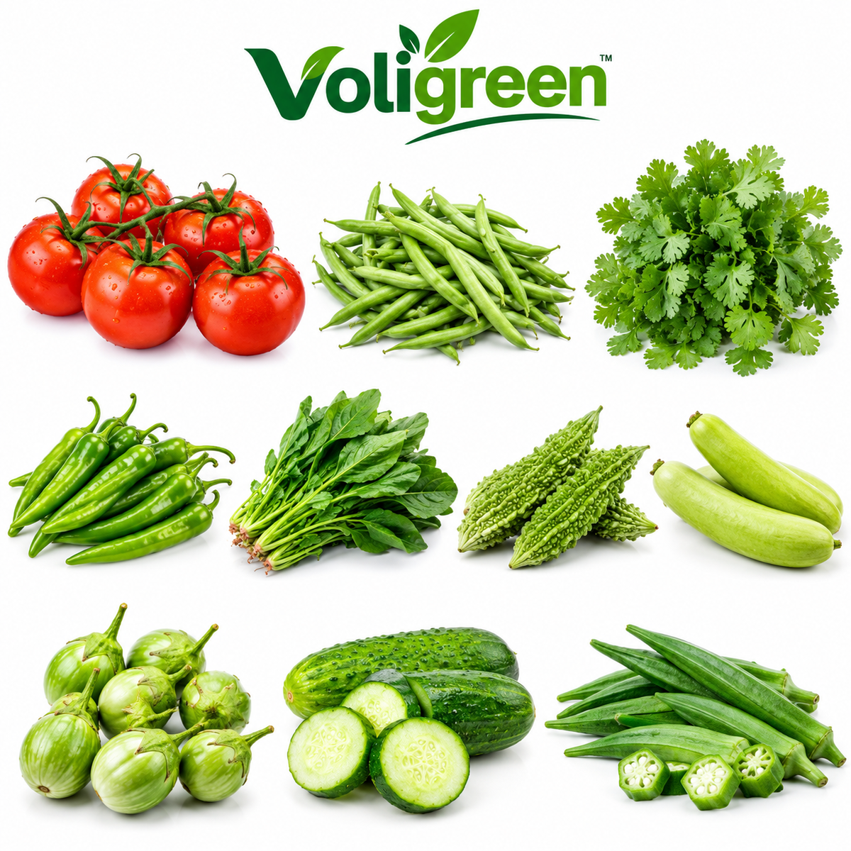 VoliGreen 10 Vegetable Seeds Combo Pack for Home, Terrace & Kitchen Garden