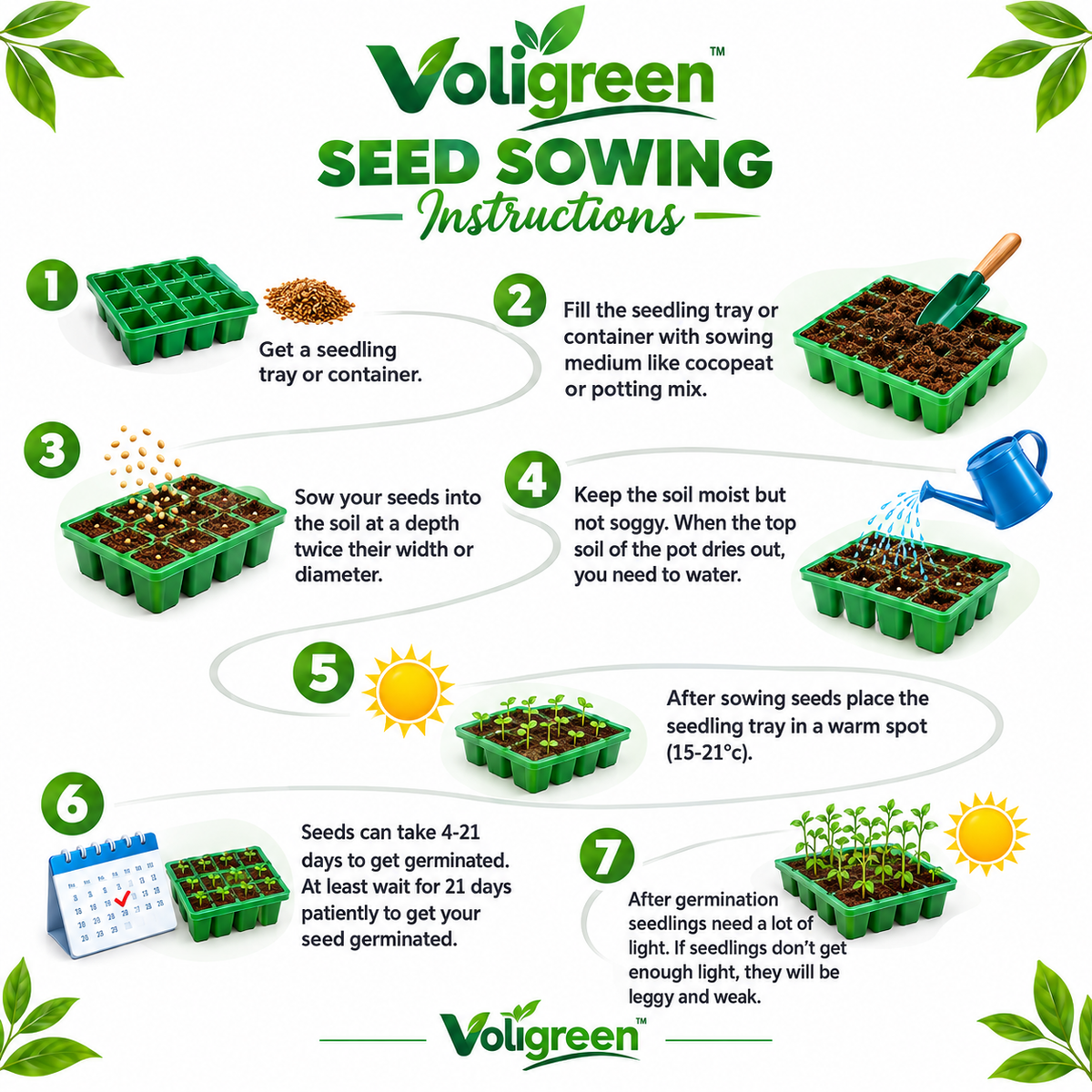 VoliGreen 10 Vegetable Seeds Combo Pack for Home, Terrace & Kitchen Garden