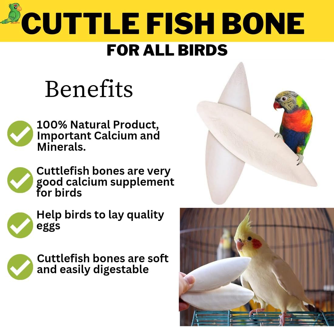 Premium Cuttlefish Bone 1kg for Birds | Natural Calcium | Volikart