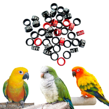 Sun Conure,Jenday Conure,Monkparakeet Bird Aluminum Close Leg Ring - 10 Piece