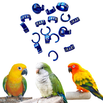 Sun Conure,Jenday Conure,Monkparakeet Bird Aluminum Cut Leg Ring - 10 Piece