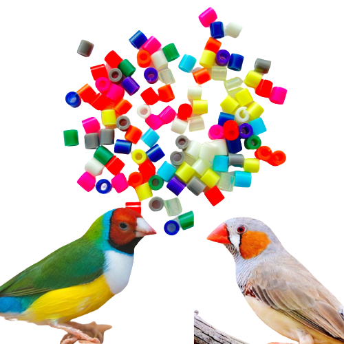 High QUALITY Plastic Cut Leg Ring for Finch Bird  - 20 Piece. VoliKart