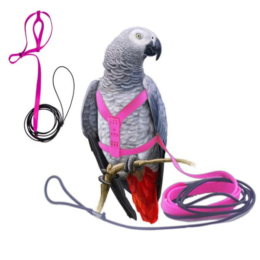 Adjustable Gray Parrot Body Harness – Durable & Safe for Training, Exercise & Play – Fits Large Gray Parrot Macaws, Triton, Small Moluccan Parrots (Random Color, Large)