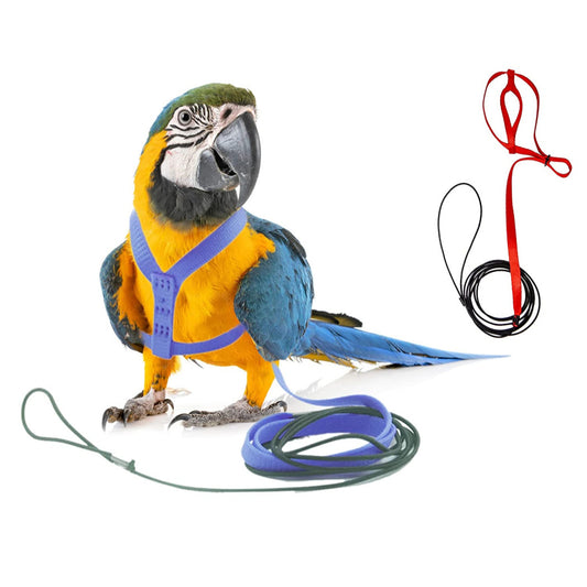 Bird Body Harness Adjustable Durable Reusable Safe Great for Training, Exercise & Playing for Large Macaw, Triton, Small Moluccan (Random) (Large)