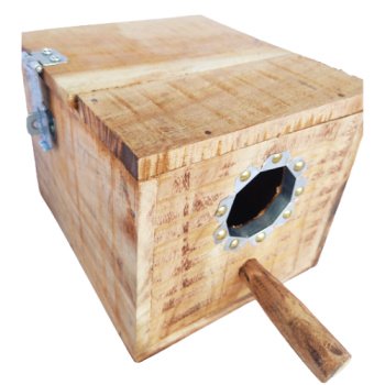 Wooden Breeding Box for Budgerigars, Java, Finches - 8 inch x 7 inch x ...
