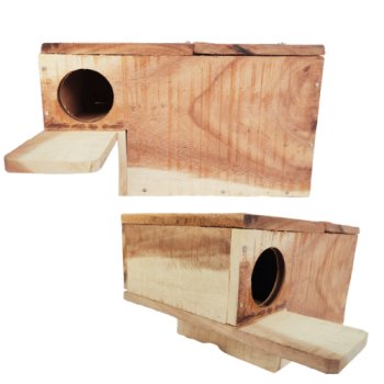 Love Bird Breeding Box 10inch x 6.5inch x 6.5inch.
